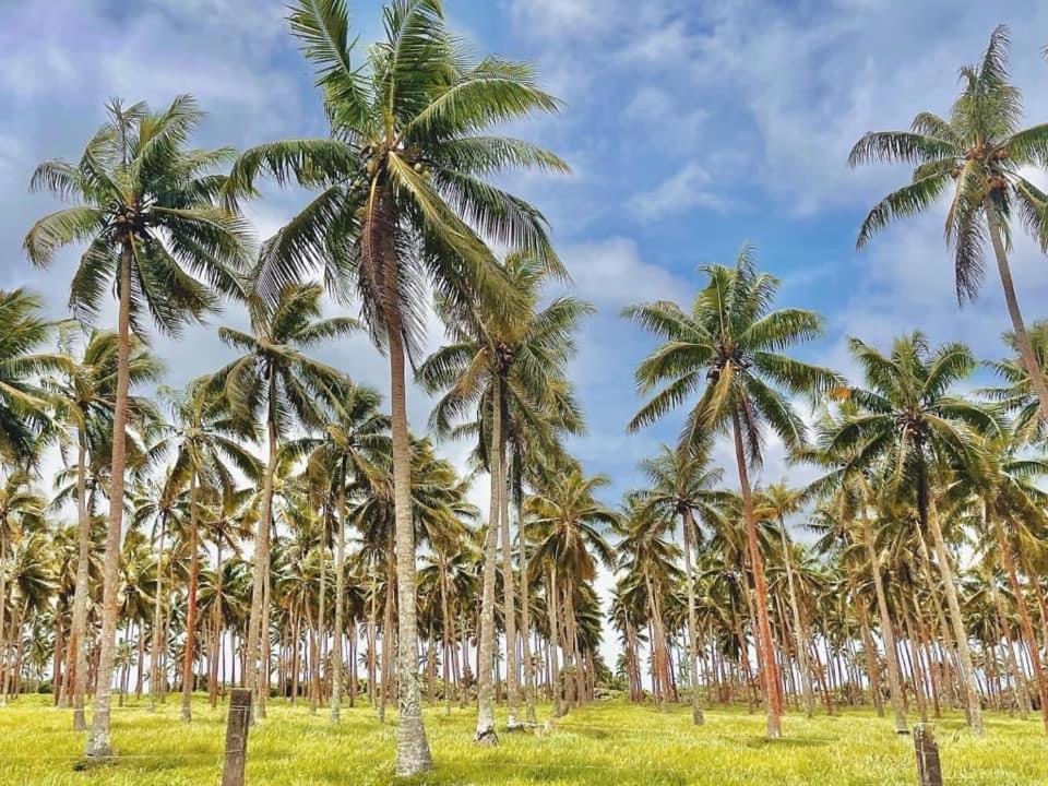 Bed and Breakfast Banana Bay Beach Club Этон Экстерьер фото